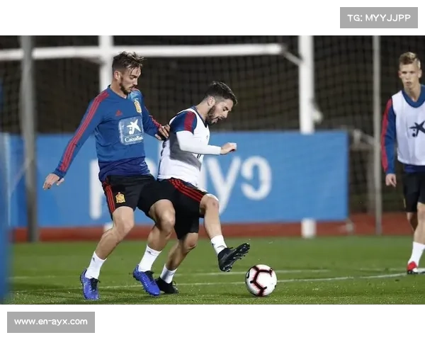 巴黎中场法比安鲁伊斯膝伤未愈 个人训练计划持续推进中